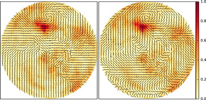 Figure 7. Refer to the following caption and surrounding text.