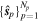 ${\{{\hat{{\boldsymbol{s}}}}_{p}\}}_{p=1}^{{N}_{p}}$