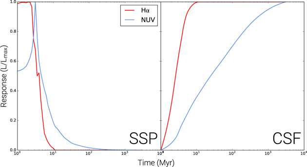 Figure 1. Refer to the following caption and surrounding text.
