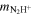 ${m}_{{{\rm{N}}}_{2}{{\rm{H}}}^{+}}$