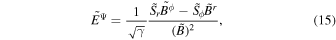 Equation (15)