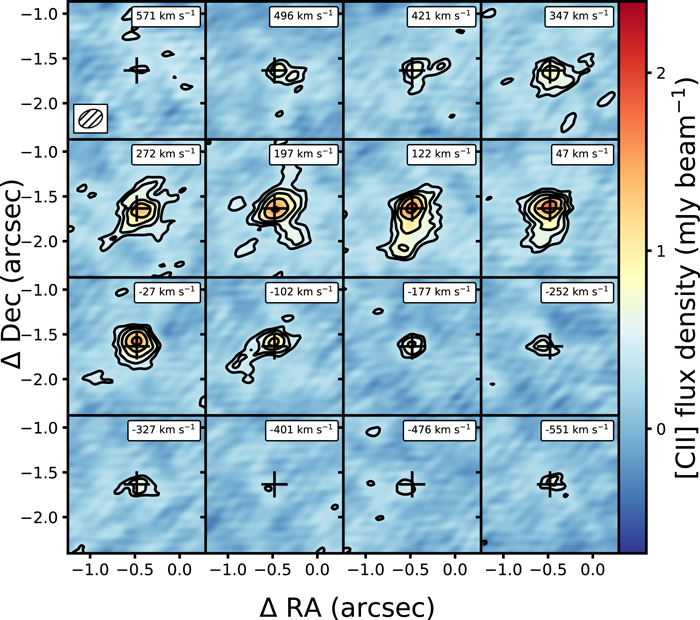 Figure 17. Refer to the following caption and surrounding text.