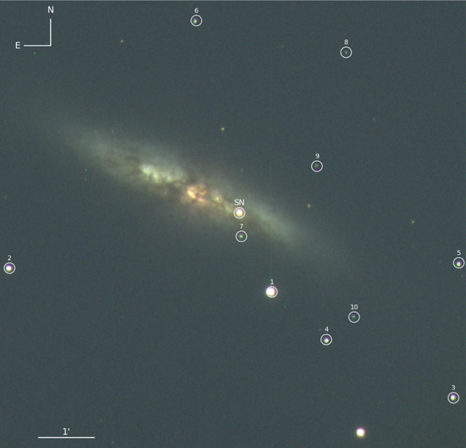 Figure 1. Refer to the following caption and surrounding text.