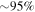 $\sim 95 \% $