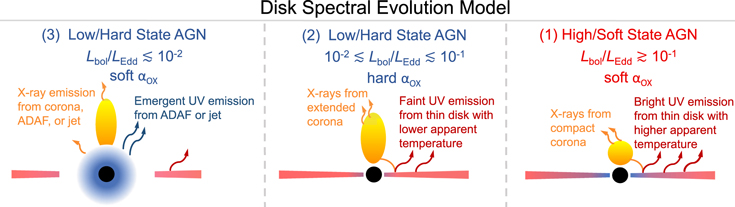 Disk Spectral Evolution Model