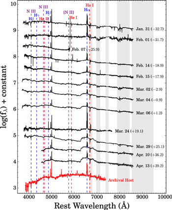 Figure 5. Refer to the following caption and surrounding text.