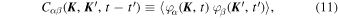 Equation (11)