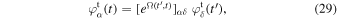 Equation (29)