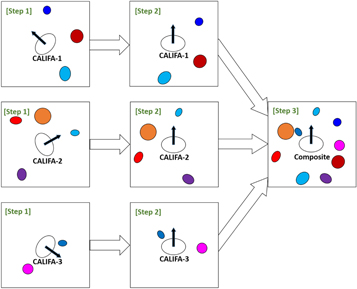 Figure 5. Refer to the following caption and surrounding text.