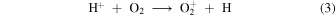 Equation (3)