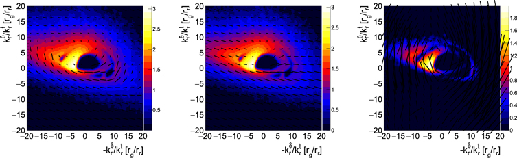 Figure 2. Refer to the following caption and surrounding text.