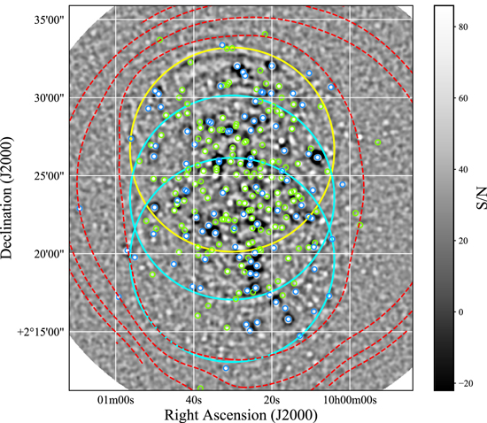 Figure 2. Refer to the following caption and surrounding text.