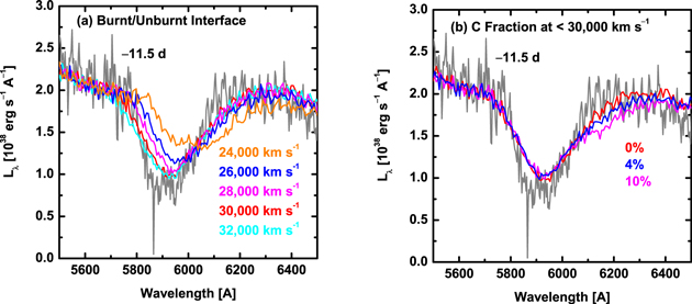 Figure 12. Refer to the following caption and surrounding text.