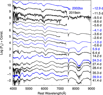 Figure 4. Refer to the following caption and surrounding text.