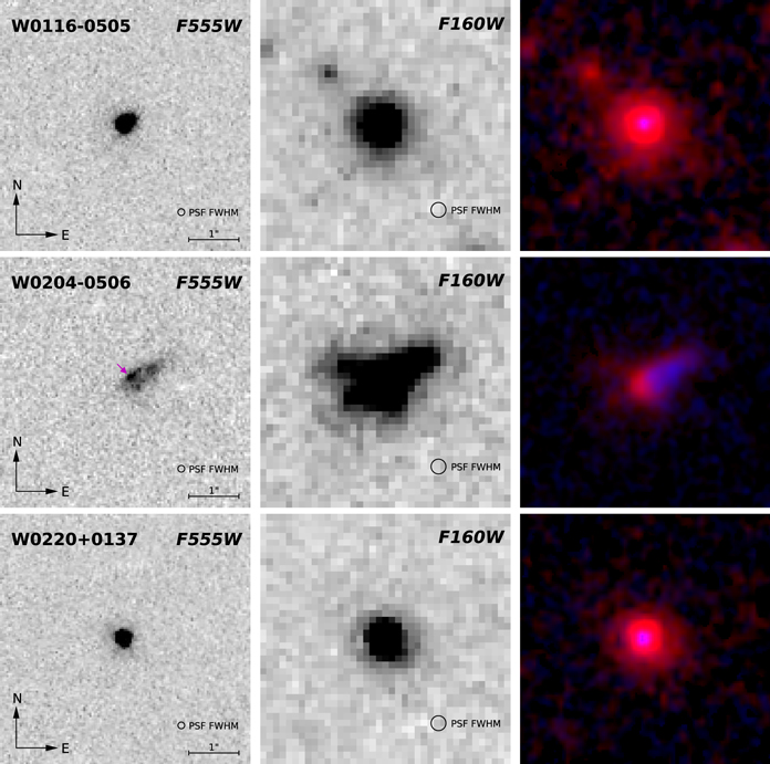 Figure 5. Refer to the following caption and surrounding text.