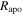 ${R}_{\mathrm{apo}}$