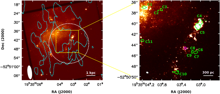 Figure 1. Refer to the following caption and surrounding text.