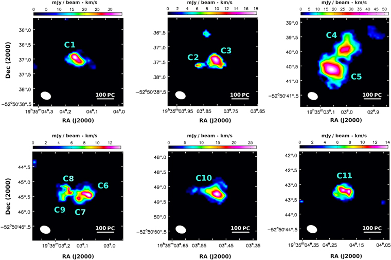 Figure 2. Refer to the following caption and surrounding text.