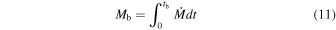 Equation (11)