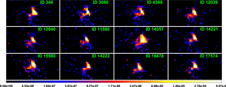 Figure 5. Refer to the following caption and surrounding text.