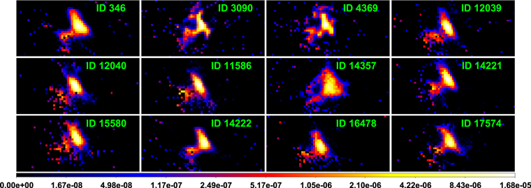 Figure 6. Refer to the following caption and surrounding text.