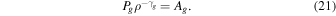 Equation (21)