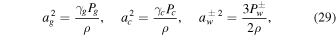Equation (29)