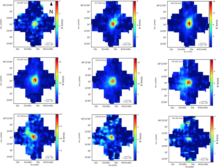 Stellar Feedback on the Earliest Stage of Massive Star Formation ...