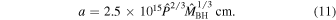 Equation (11)