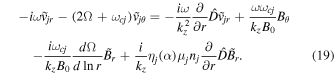 Equation (19)
