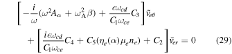 Equation (29)
