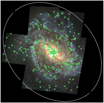 Figure 1. Refer to the following caption and surrounding text.