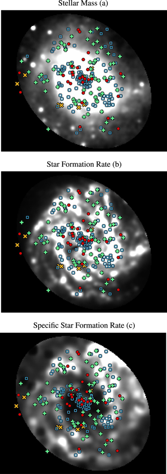 Figure 6. Refer to the following caption and surrounding text.