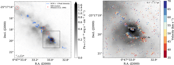 Figure 12. Refer to the following caption and surrounding text.