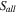 ${S}_{{all}}$