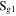${{\rm{S}}}_{g1}$