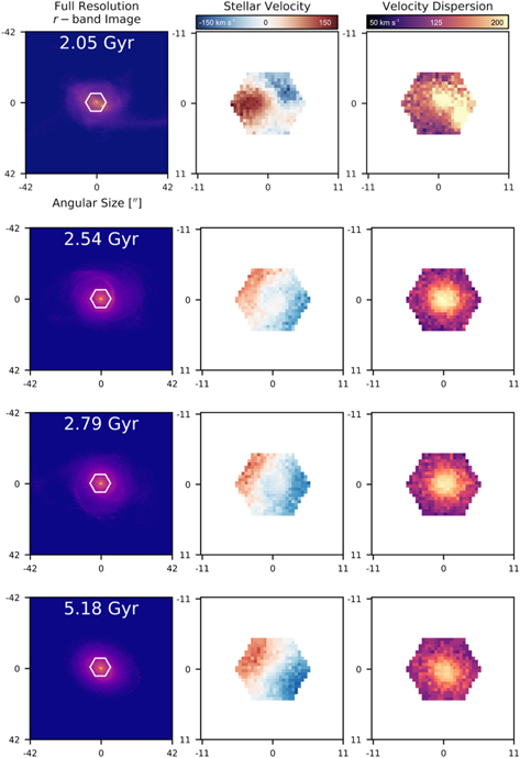 Figure 17. Refer to the following caption and surrounding text.