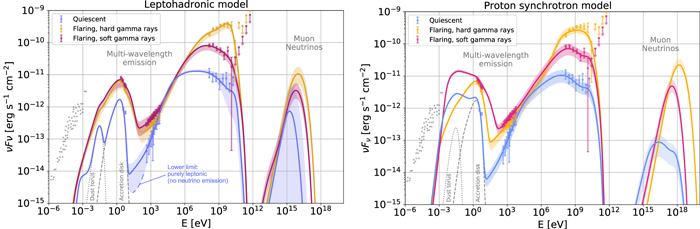 Figure 2. Refer to the following caption and surrounding text.