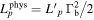 ${L}_{p}^{\mathrm{phys}}=L{{\prime} }_{p}{{\rm{\Gamma }}}_{{\rm{b}}}^{2}/2$