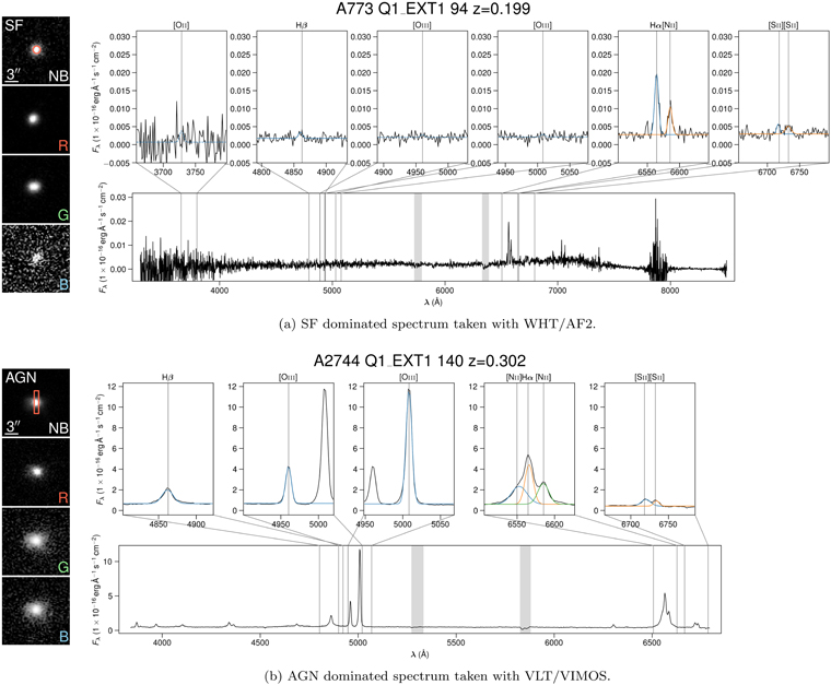 Figure 2. Refer to the following caption and surrounding text.