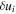 $\delta {u}_{i}$