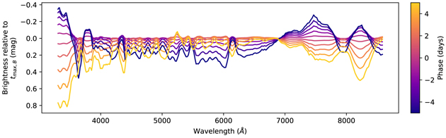 Figure 2. Refer to the following caption and surrounding text.