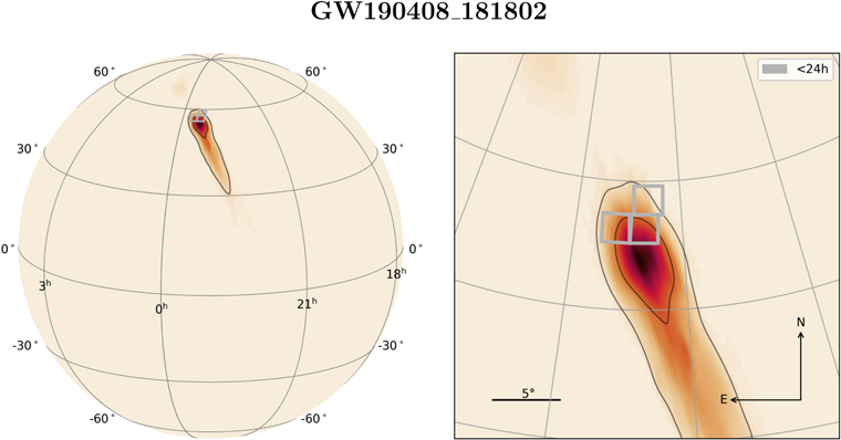 Figure 5. Refer to the following caption and surrounding text.