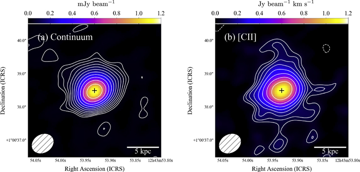 Subaru High-z Exploration of Low-luminosity Quasars (SHELLQs