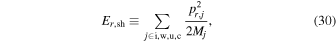 Equation (30)