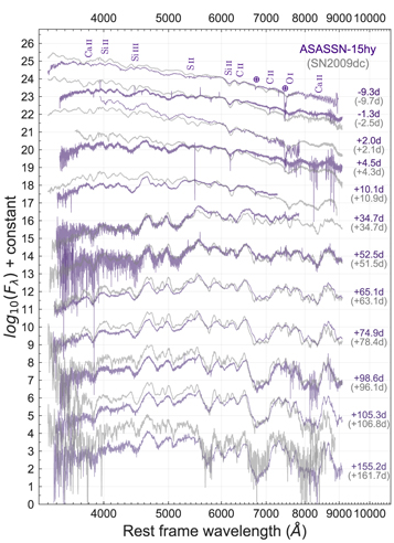 Figure 10. Refer to the following caption and surrounding text.