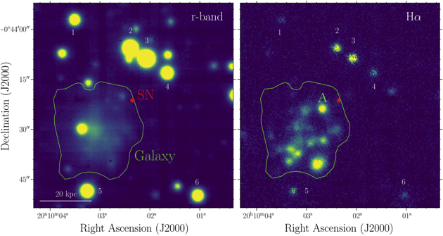 Figure 4. Refer to the following caption and surrounding text.