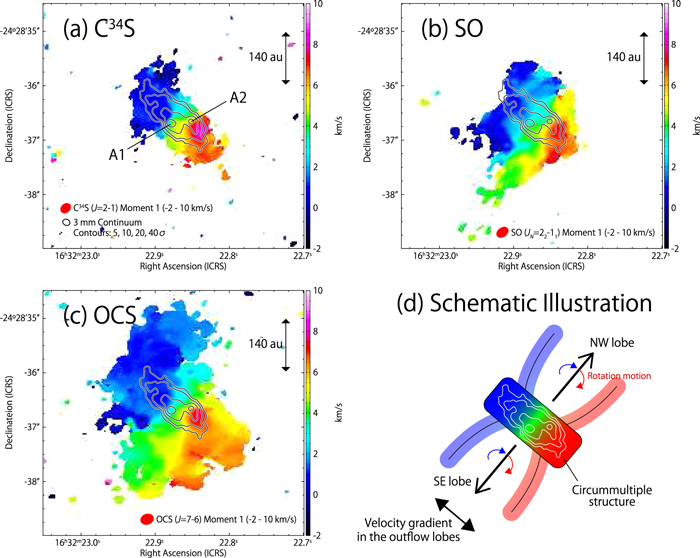 Rotating Motion of the Outflow of IRAS 16293-2422 A1 at Its Origin ...