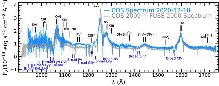Figure 2. Refer to the following caption and surrounding text.