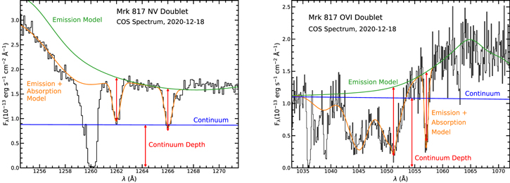 Figure 4. Refer to the following caption and surrounding text.